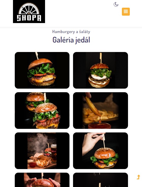 Shopa-burger-banner-mini-2.jpg, 74kB